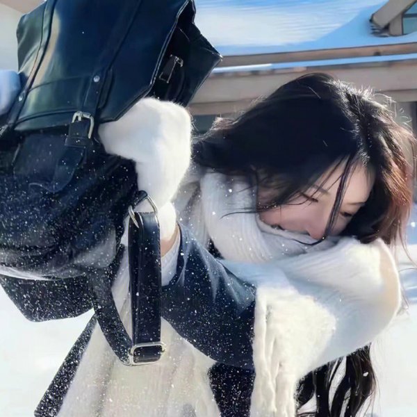 不完美的正义